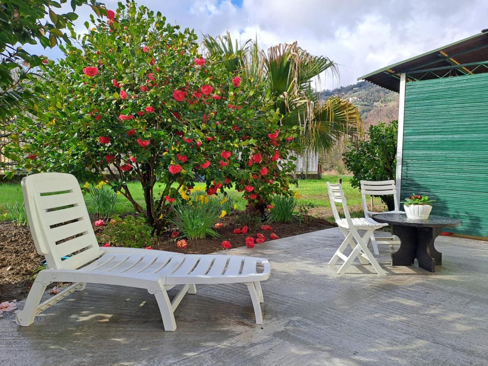 Sunny House Βίλα Carasco Εξωτερικό φωτογραφία