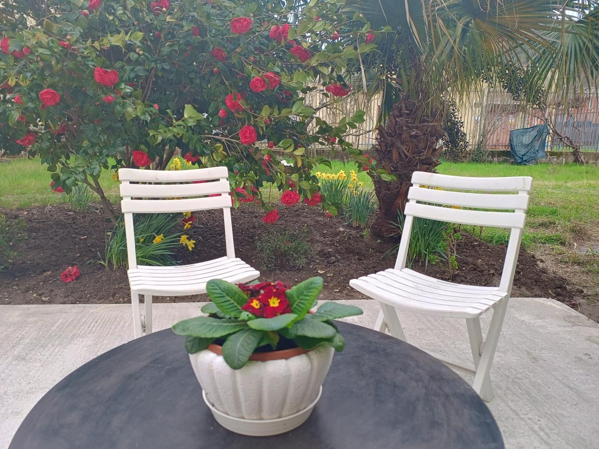 Sunny House Βίλα Carasco Εξωτερικό φωτογραφία