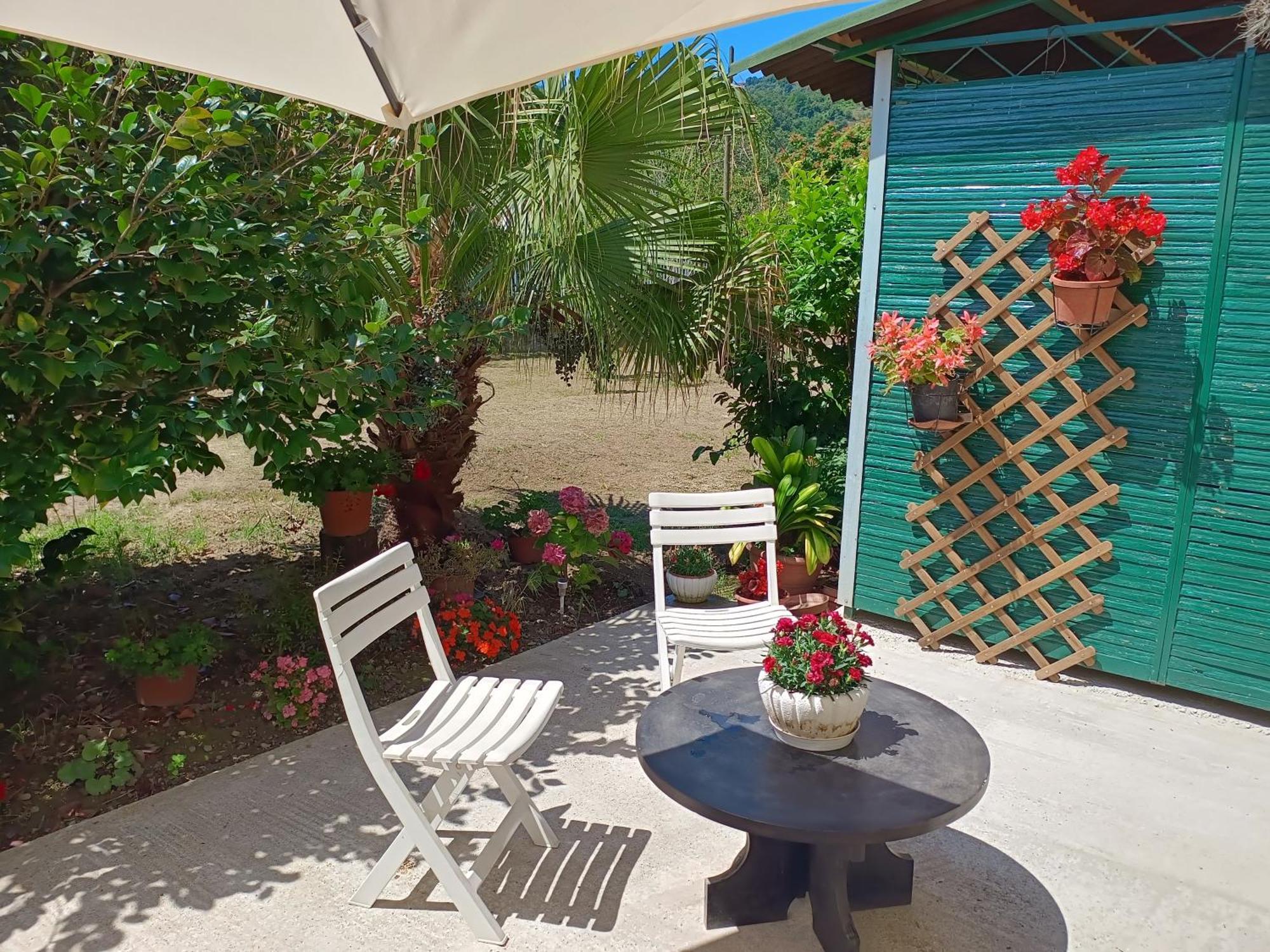 Sunny House Βίλα Carasco Εξωτερικό φωτογραφία